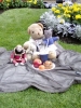 James Bear having  a picnic